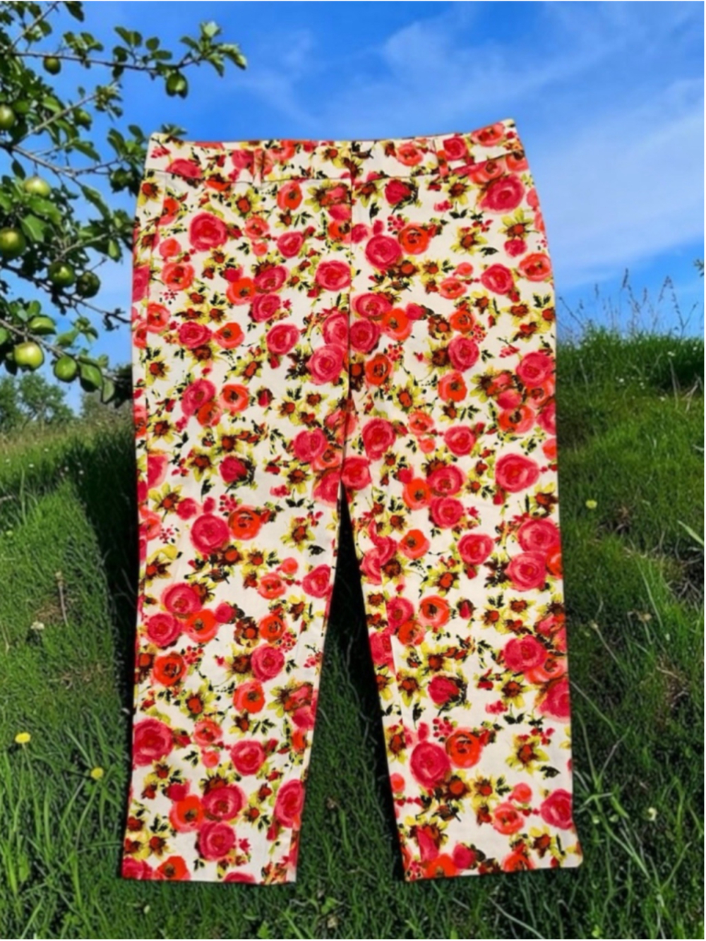 Ann Taylor 12 Petite Floral Stretch Ankle Pants Multicolor Cotton Spandex